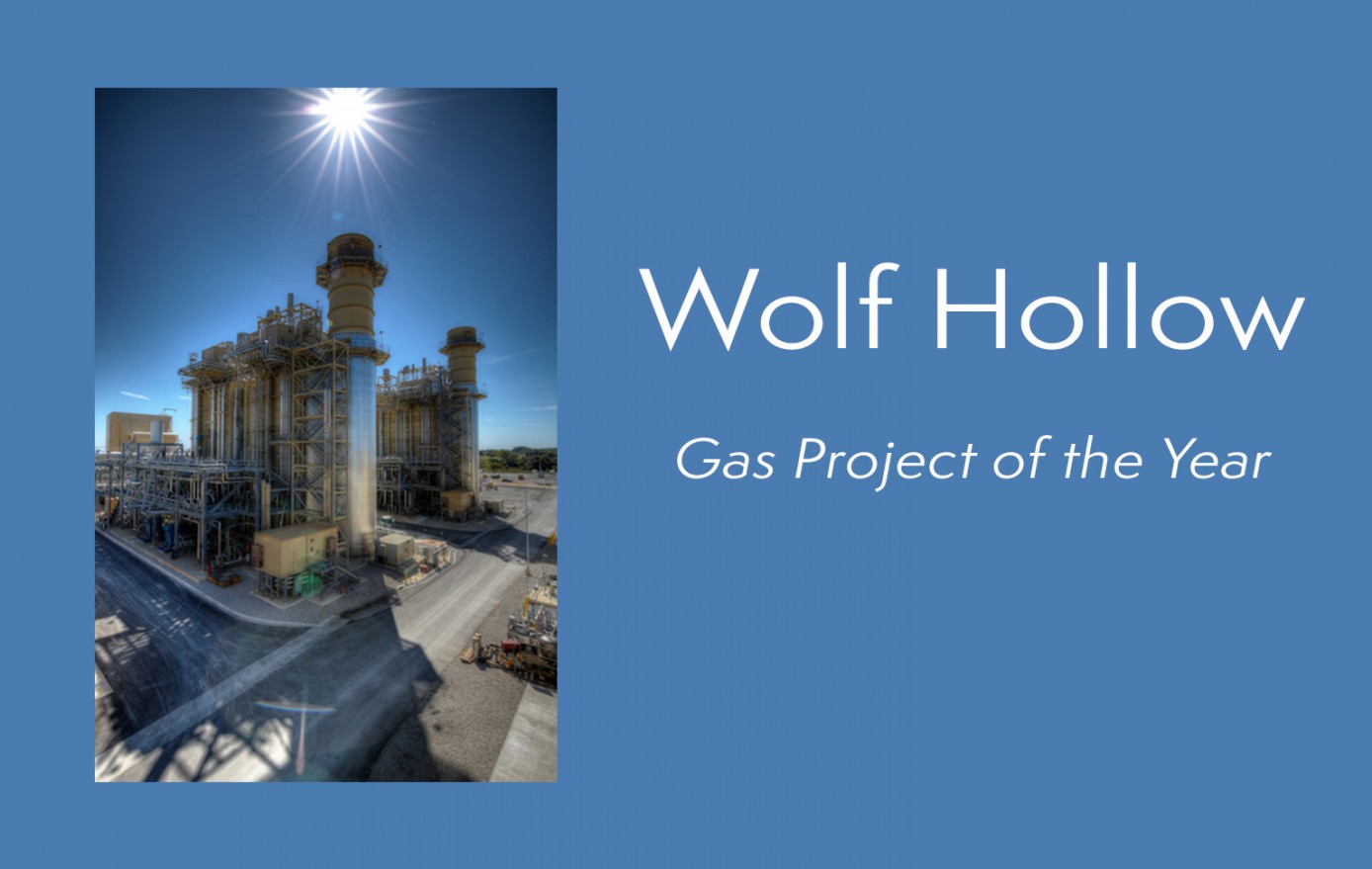 Wolf-Hollow-project