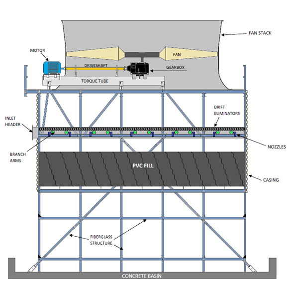 EC Cross section