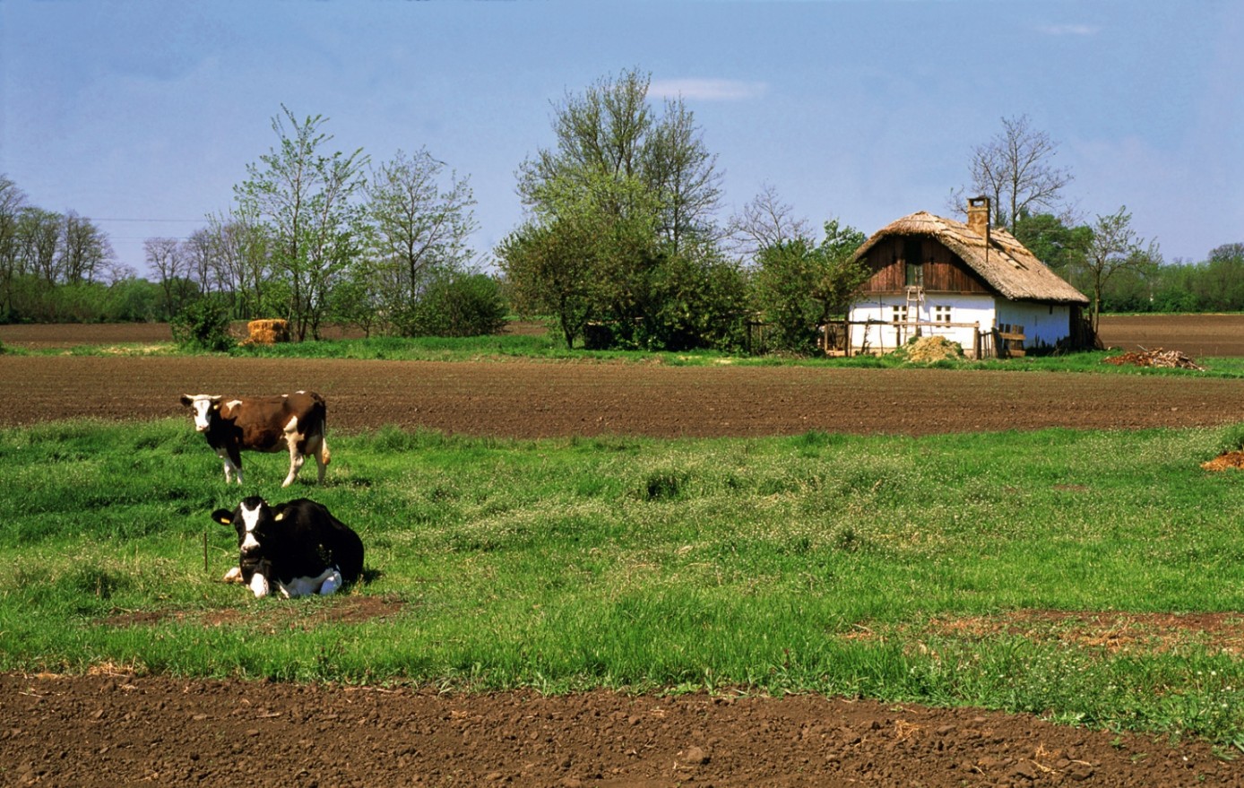 prairie-farms